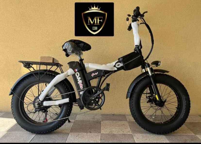 Bici elettrica Fat bike