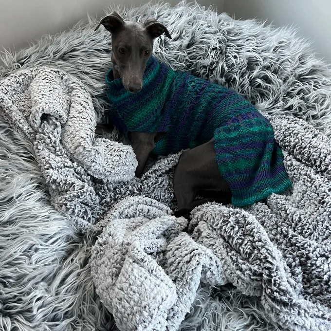 【Furniture】Greyleigh Teen Large Classic Bean Bag